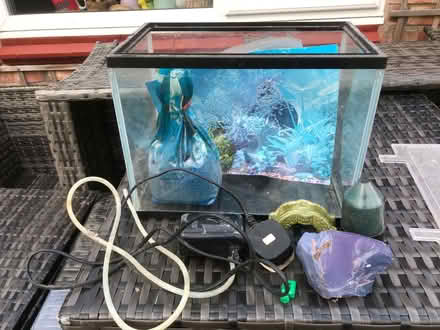 Photo of free Small Fish Tank (Wallasey CH45) #1