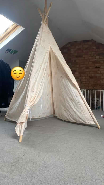 Photo of free Winnie the Pooh teepee (BR2) #1