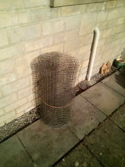 Photo of free Chicken Wire Mesh (Bath & North East Somerset) #1