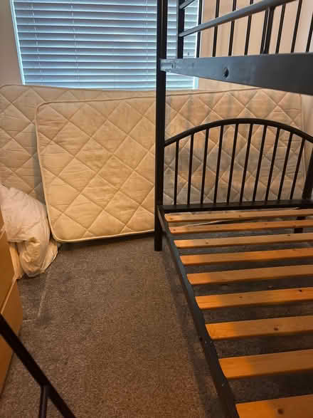 Photo of free 2 x single mattresses (Winchester, SO22) #1