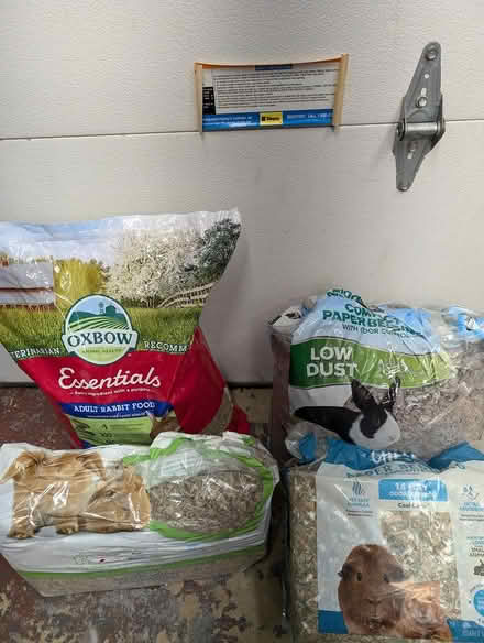 Photo of free Rabbit food and bedding (Hazlet, off Beers st) #1