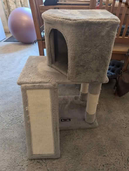 Photo of free Cat tree (Sutton) #1