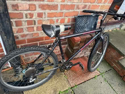 Photo of free Adult Bicycle (PR2) #1