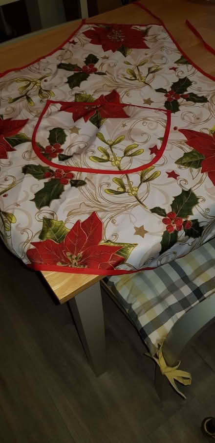 Photo of free Christmas apron (Emsworth PO10) #1