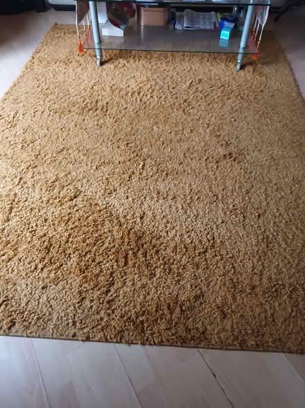 Photo of free Mustard cosy rug (Ditton) #2