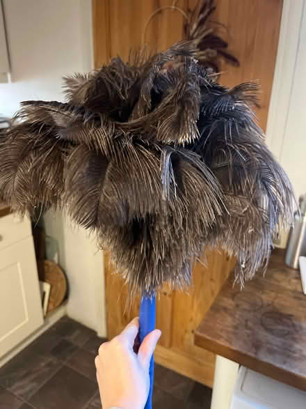 Photo of free Feather duster (Meersbrook, S8) #2