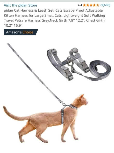 Photo of free 2x cat harness (Sutton) #2
