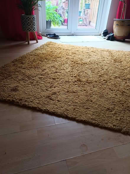 Photo of free Mustard cosy rug (Ditton) #1