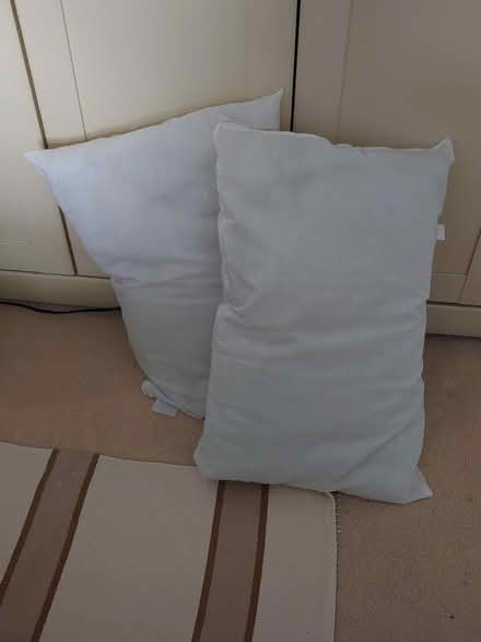 Photo of free 2 Pillows (Warminster BA12) #1