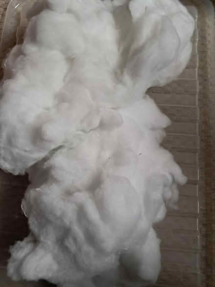 Photo of free Soft toy filling (Newtown, Reading, RG1.) #1