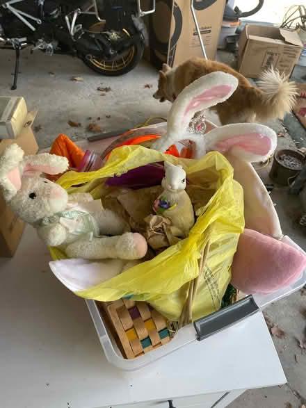 Photo of free Easter & Halloween Decorations (Pound Ridge) #3