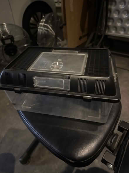 Photo of free Lizard/insect plastic case (Belsize Park) #1