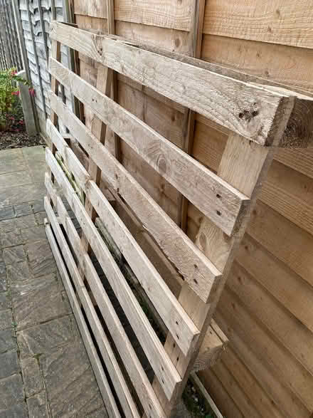 Photo of free Wooden Pallet (South Woking) #1
