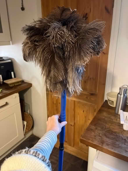 Photo of free Feather duster (Meersbrook, S8) #1