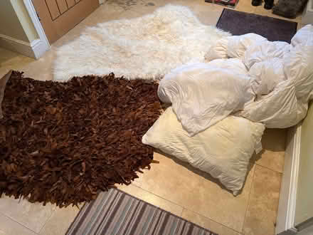 Photo of free Old bedding/rugs/pillows (TW16 Sunbury) #1