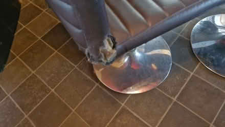 Photo of free 4 X Dinning Table Chairs (Penrith CA11) #4