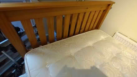 Photo of free Queen divan bed, mattress & topper (paignton, near big tree) #4