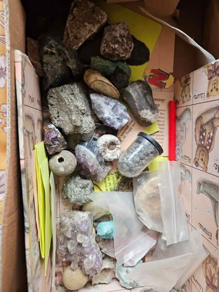 Photo of free Fossils and stones collection (Warwick CV34) #1