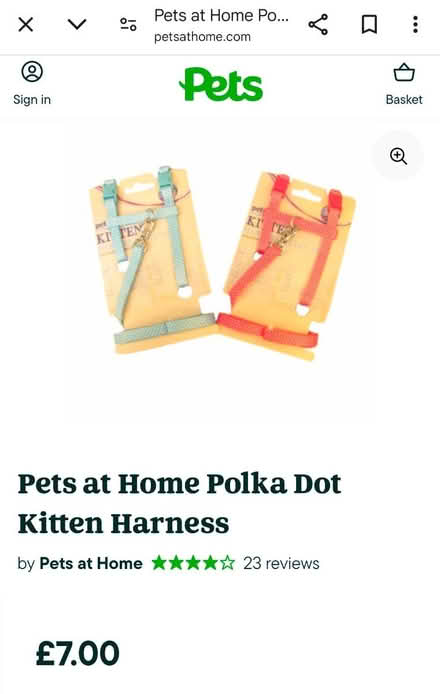 Photo of free Kitten harness x2 (Sutton) #2