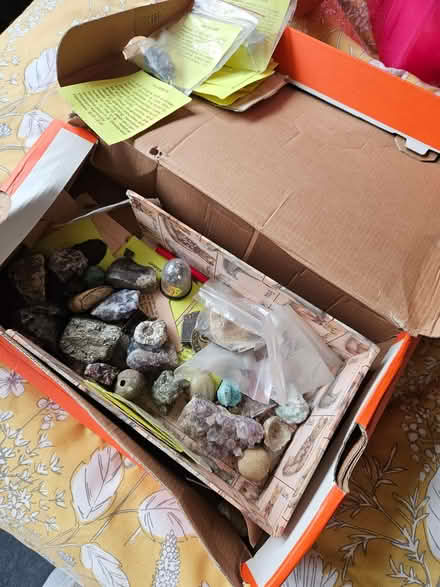 Photo of free Fossils and stones collection (Warwick CV34) #3