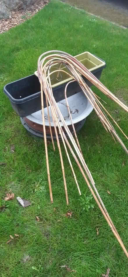Photo of free Planters/Canes/Lantern Supports (Sunnyside S66) #1
