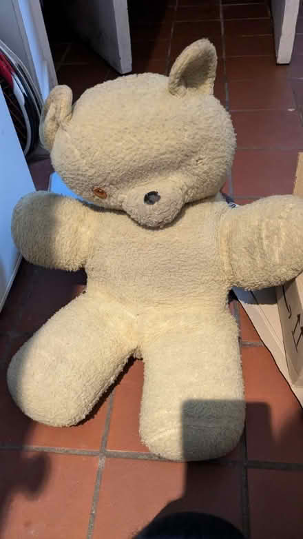 Photo of free teddies (Lambridge Larkhall Bath) #2