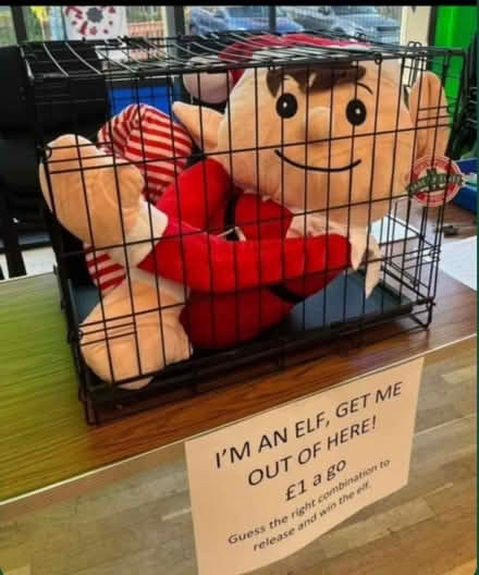 Photo of Elf teddy (Luton) #1