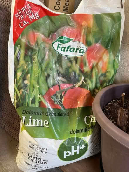 Photo of free Garden lime (Bayview and Sheppard) #1