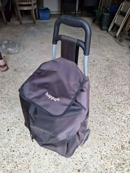 Photo of free Shopper trolley (Lindfield RH16) #1