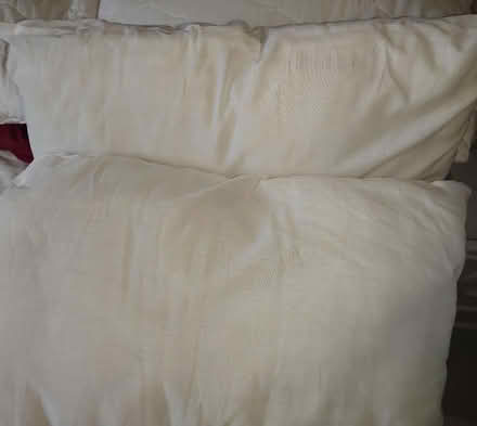 Photo of free 2 Pillows (Warminster BA12) #3