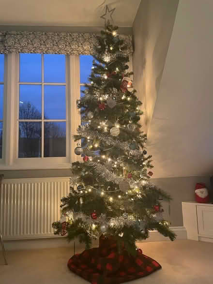 Photo of free 7ft Christmas Tree (Chiswick) #1