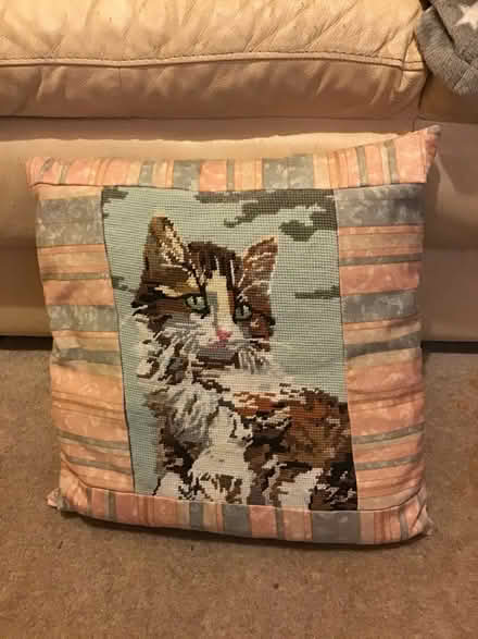 Photo of free Cat cushions (Redhill RH1) #2