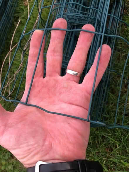 Photo of free Garden fencing (Crowle. WR7) #2