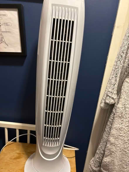 Photo of free Tall fan (Argyle road area W13) #1