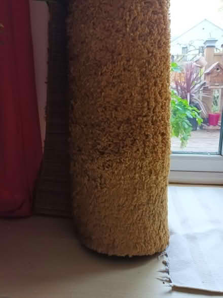 Photo of free Mustard cosy rug (Ditton) #3