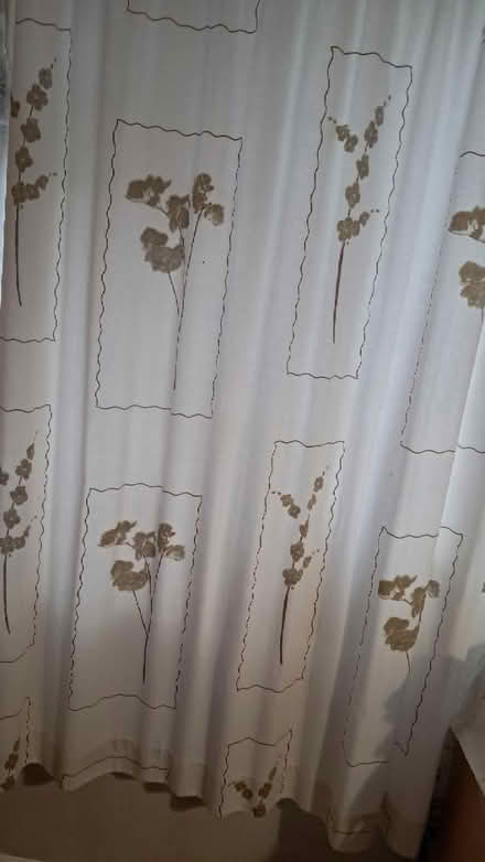 Photo of free large window curtains (EX2 hamilton avenue.) #4