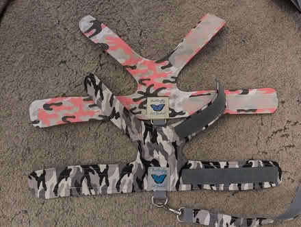 Photo of free Butterfly Jackets (Sutton) #1