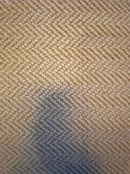 Photo of free Wool sisal rug (Wimbledon chase SW20) #1