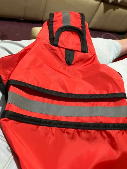 Photo of free Waterproof dog jackets (Chesham HP5) #1