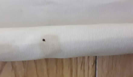 Photo of free Roller blind (Gunnersbury, W3) #2