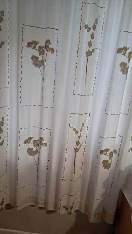 Photo of free large window curtains (EX2 hamilton avenue.) #3