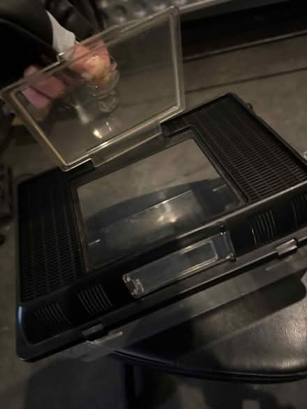 Photo of free Lizard/insect plastic case (Belsize Park) #2