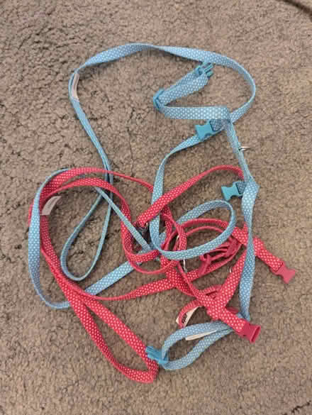 Photo of free Kitten harness x2 (Sutton) #1