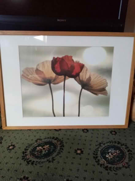 Photo of free Framed flower picture (Dewsbury WF12) #1
