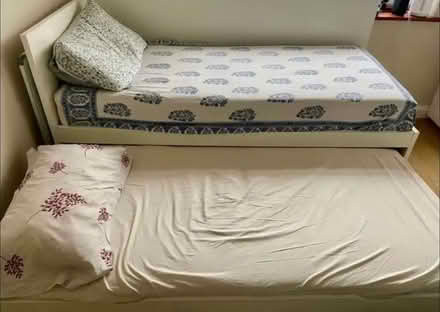Photo of free Single trundle bed (Raynes Park SW20) #1
