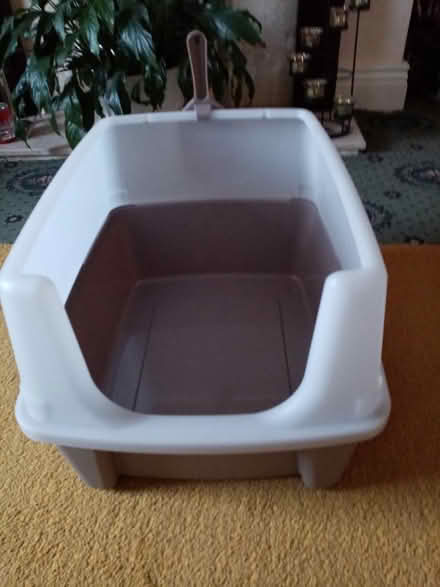 Photo of free Cat/kitten items (Dewsbury WF12) #1