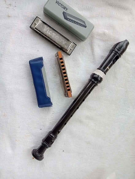 Photo of free 2 mouth organs and a recorder (Longhorsley NE65) #1