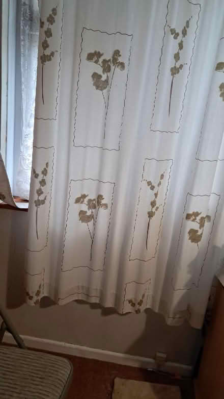 Photo of free large window curtains (EX2 hamilton avenue.) #1