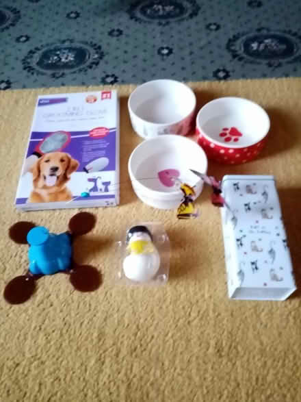 Photo of free Cat/kitten items (Dewsbury WF12) #2
