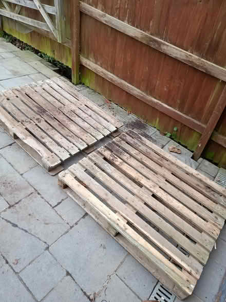 Photo of free Two pallets - good condition (Bristol BS4) #1
